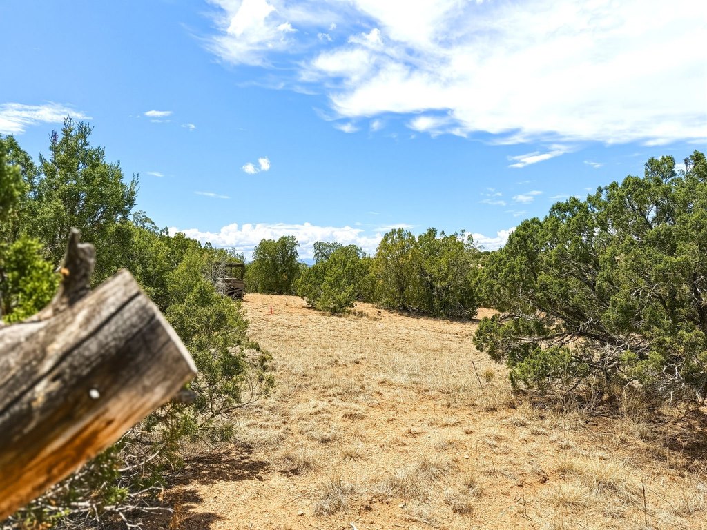 Picture 24