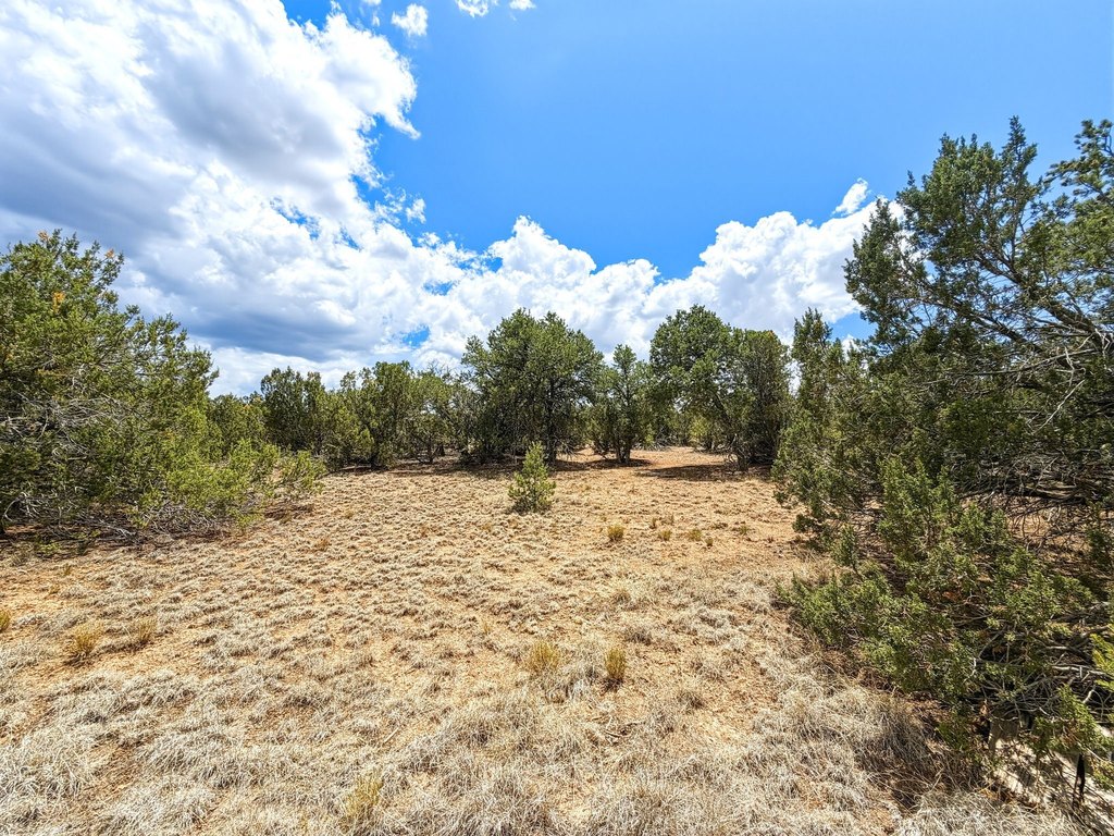 Picture 20
