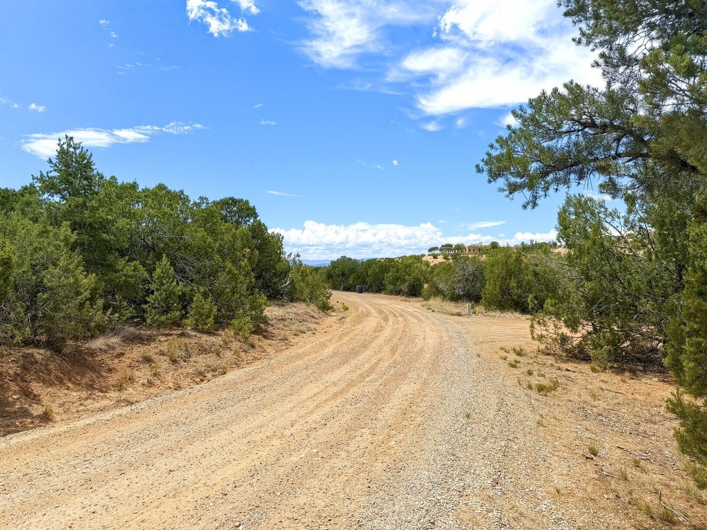 Picture 9