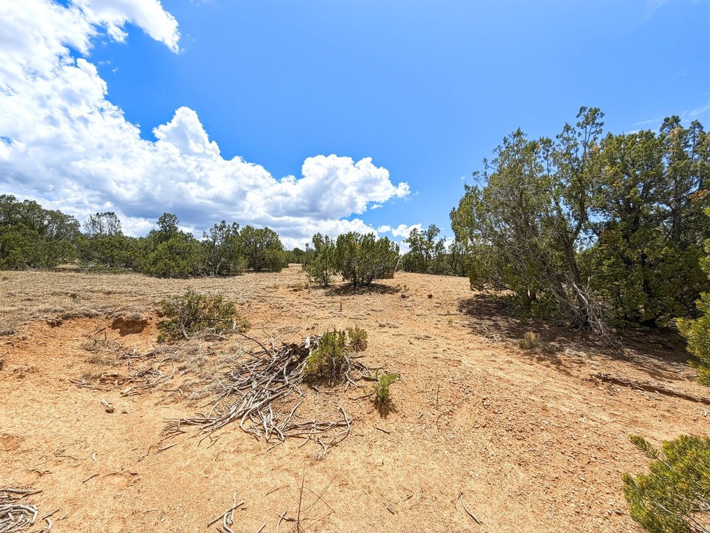 Picture 17