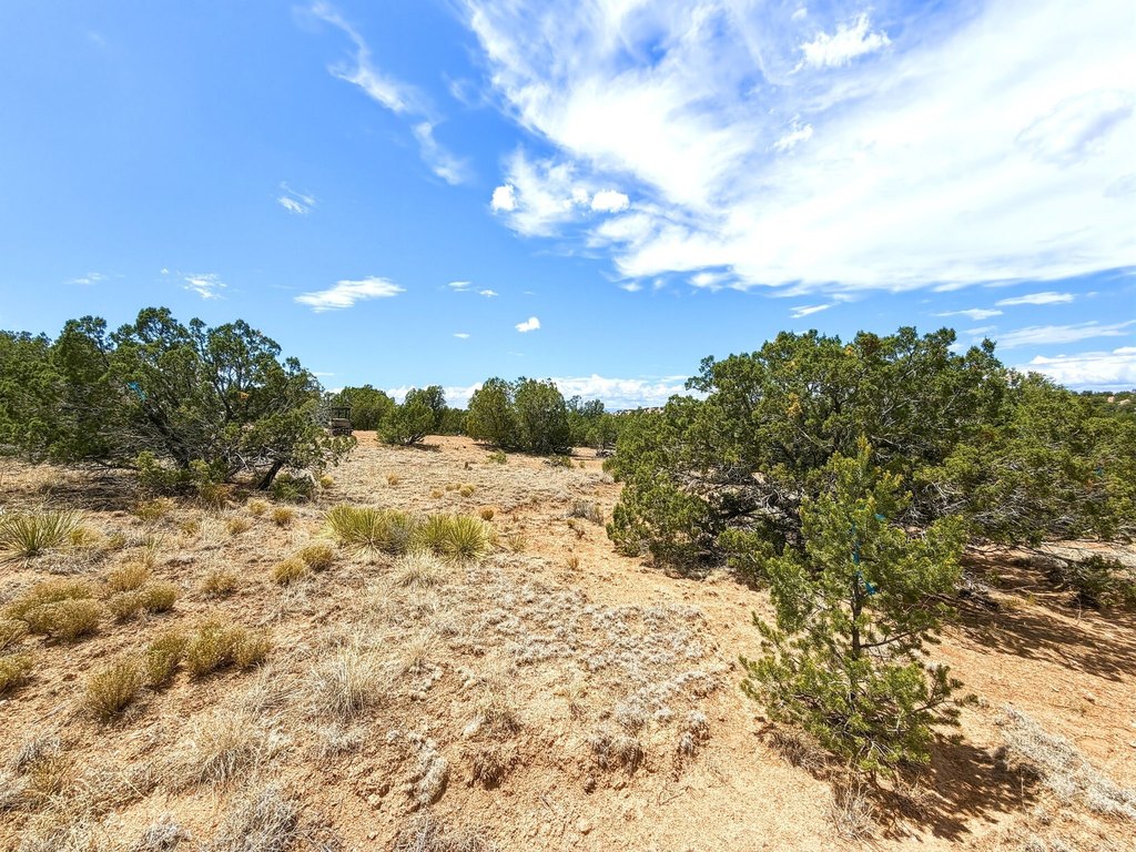 Picture 22