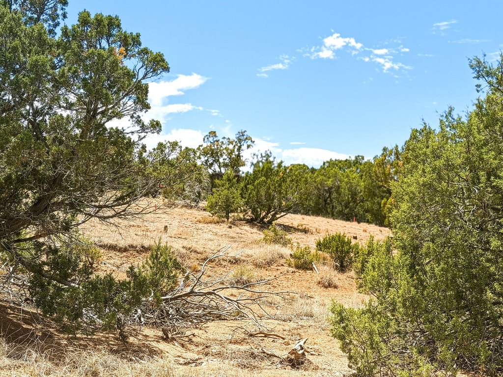 Picture 21