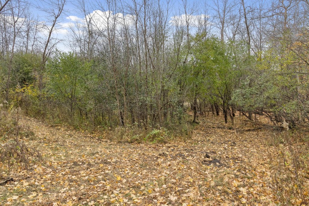 Picture 25