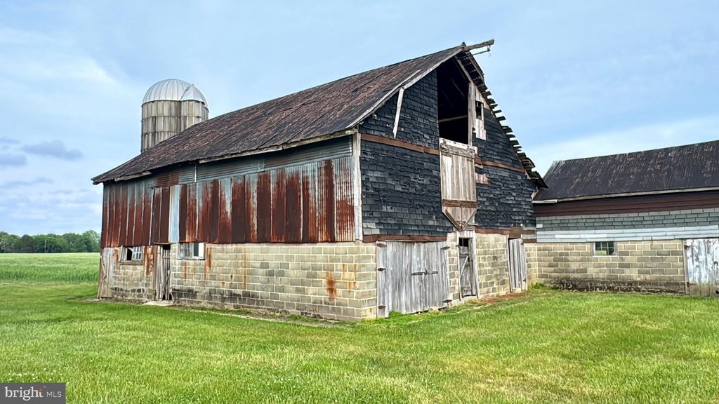 Picture 19