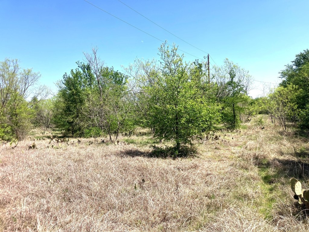 Picture 12