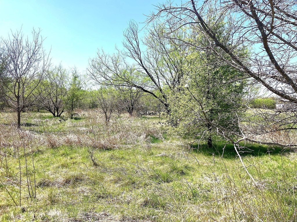 Picture 6