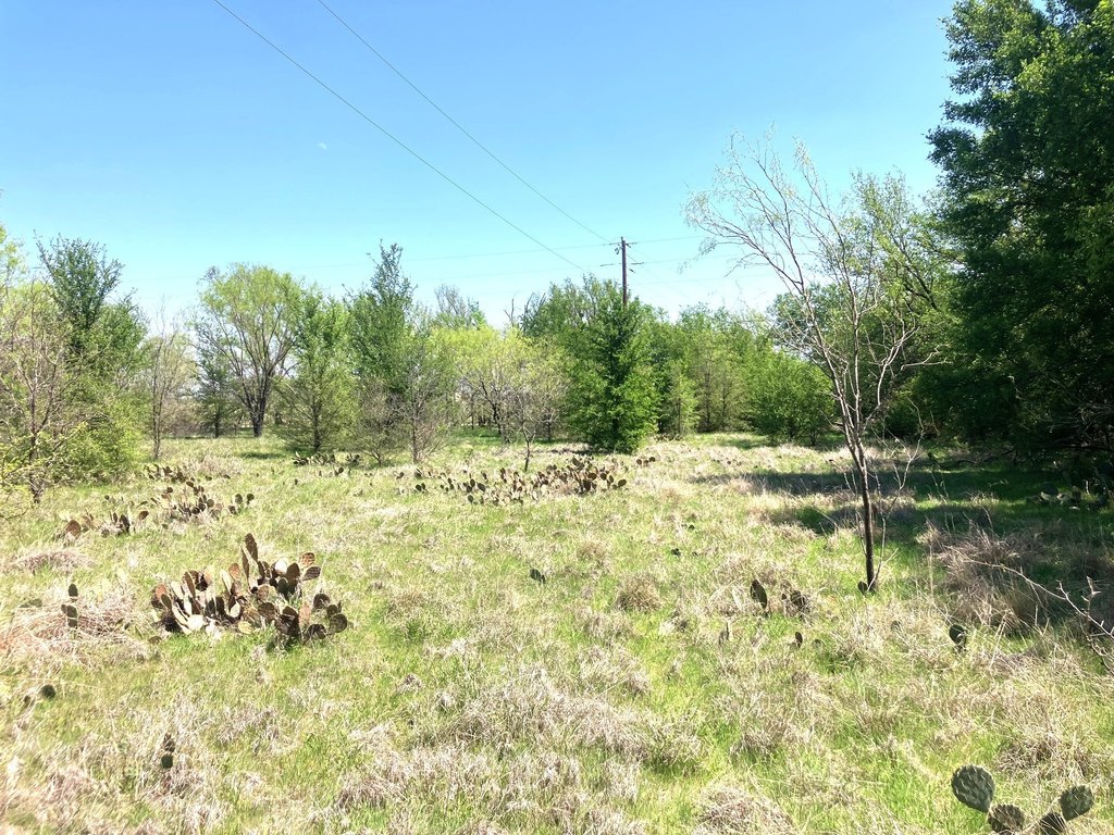 Picture 11