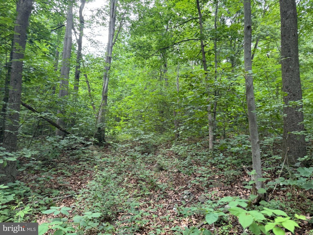 Picture 28