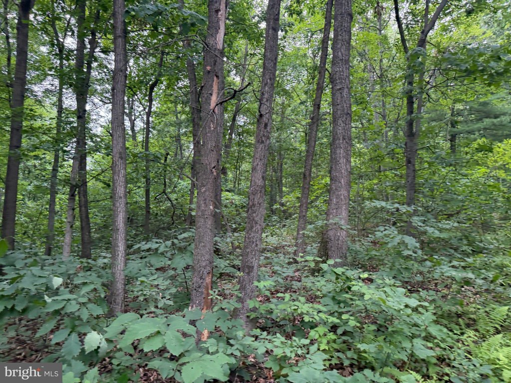 Picture 26
