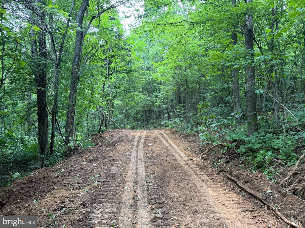 Picture 19