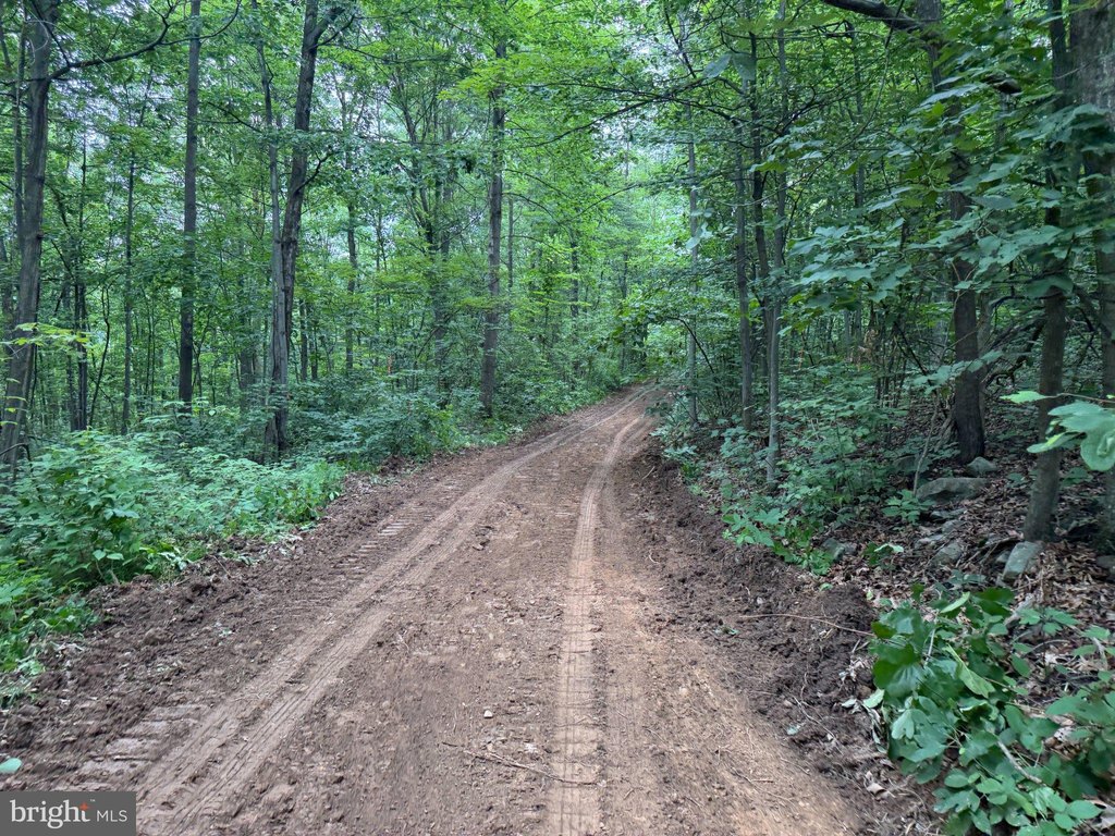 Picture 29