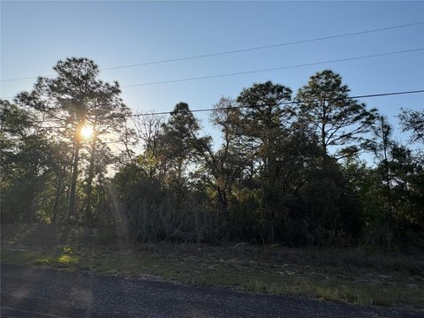LAND - CITRUS SPRINGS, FL