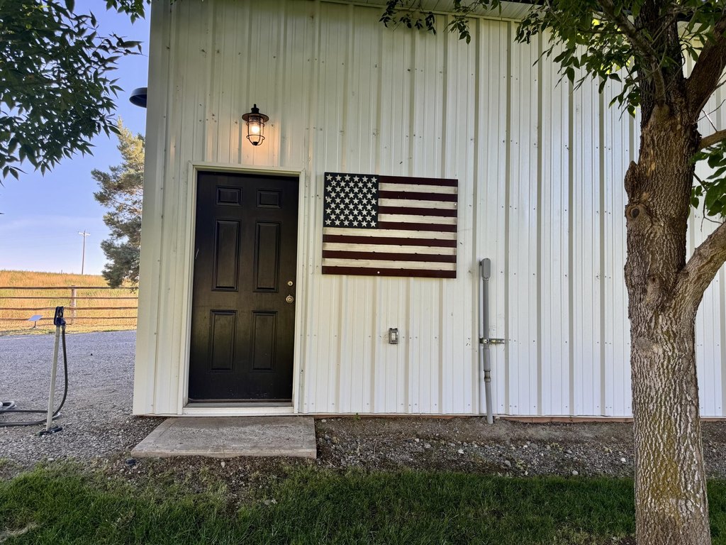 Picture 5