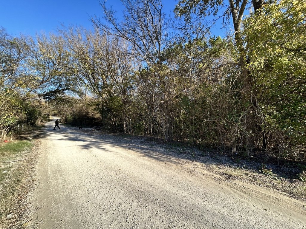 Picture 27