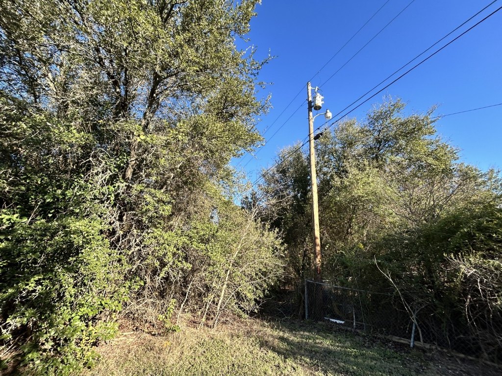 Picture 25