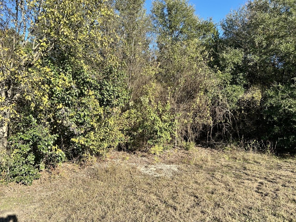 Picture 23