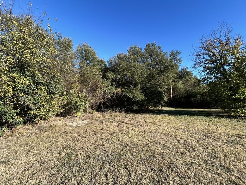 Picture 22
