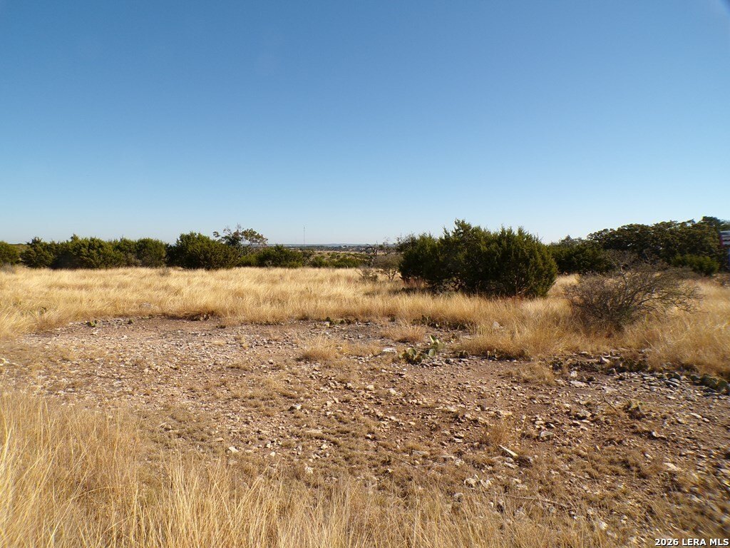 Picture 21