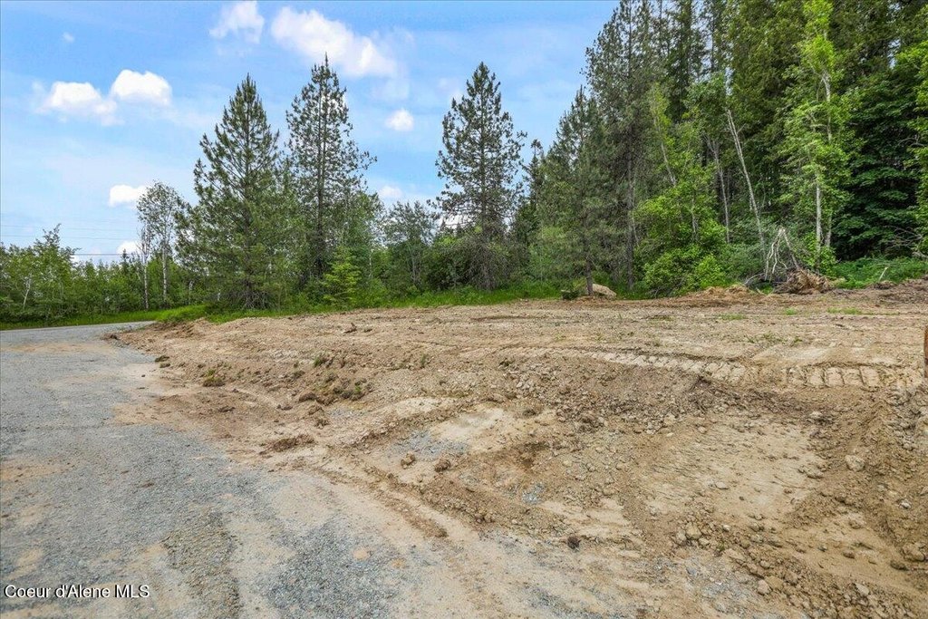 Picture 45
