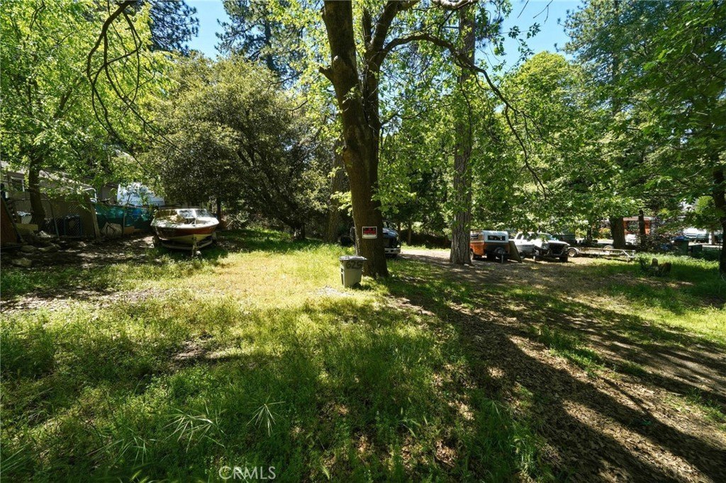 Picture 3