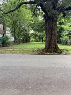 LAND - Little Rock, AR