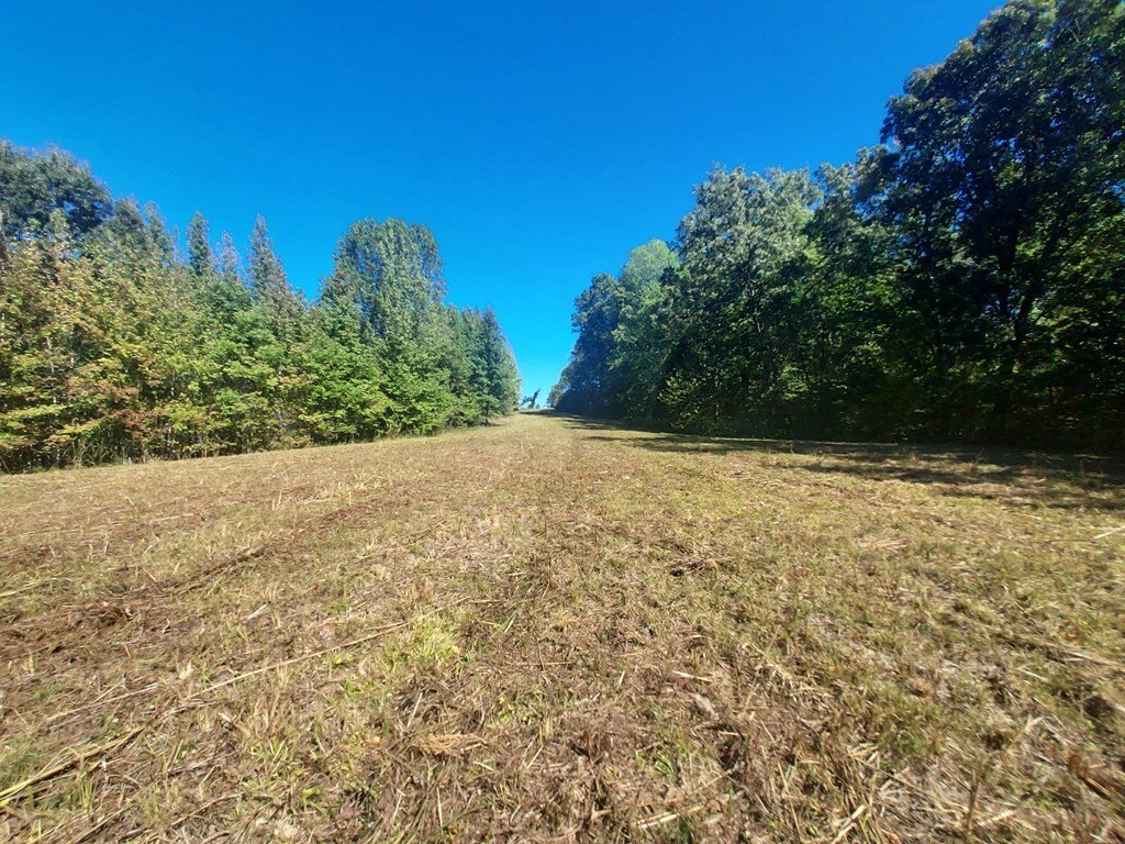 Picture 3