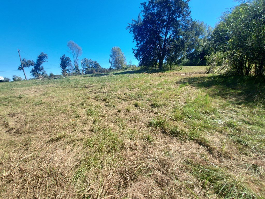Picture 2