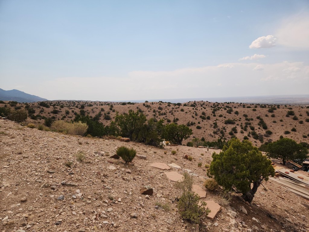 Picture 21