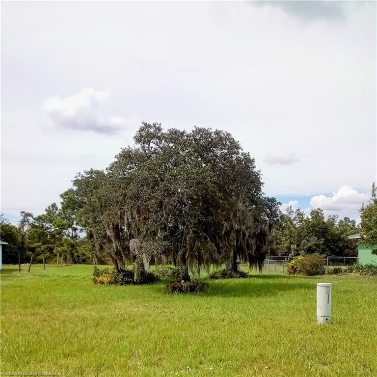 Picture 5