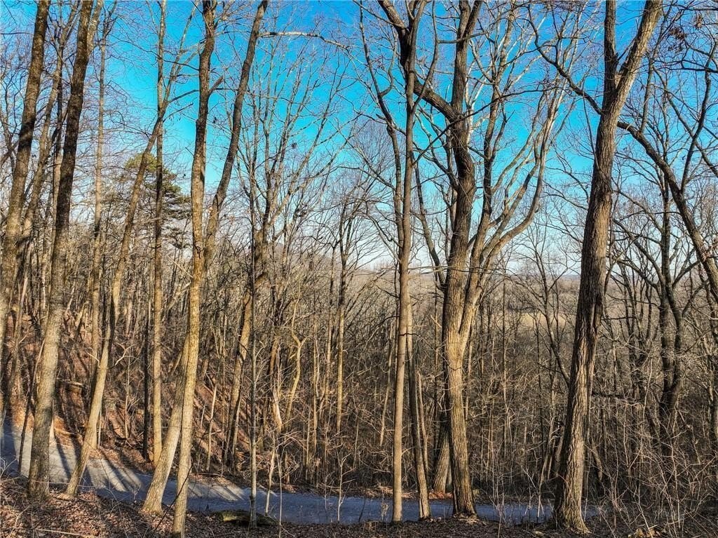 Picture 12