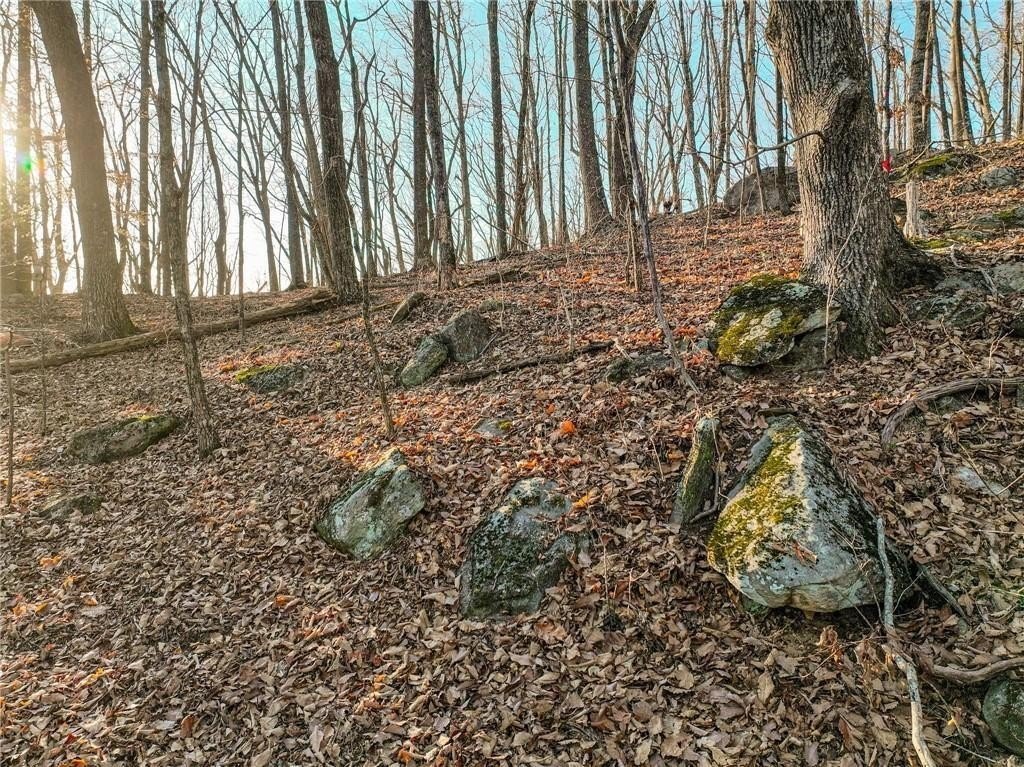 Picture 4