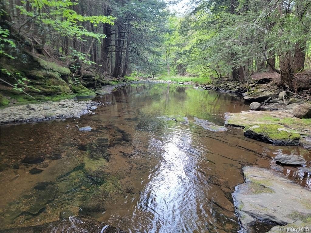 Land with River Access