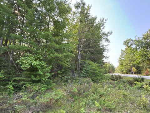 Affordable Wooded Lot Near Amenities