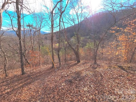 Mountain View Land in Waynesville