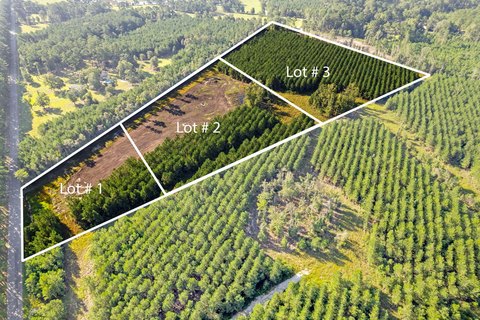 Cleared Land in Ridgeville, SC