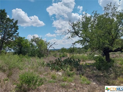 Spicewood Acreage Homesite with Views
