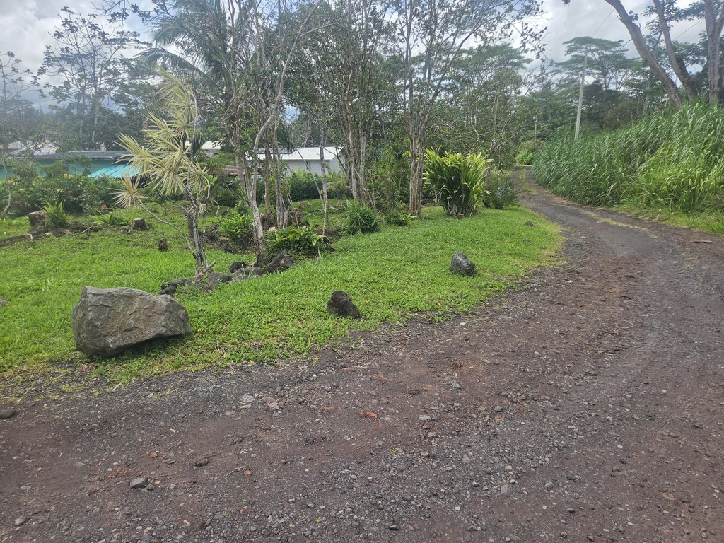 Picture 5