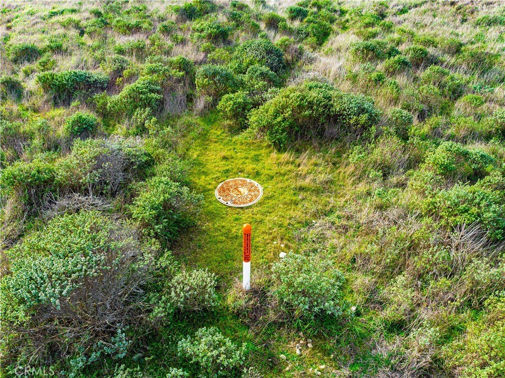 Picture 23