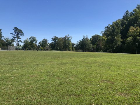 LAND - Spring City, TN