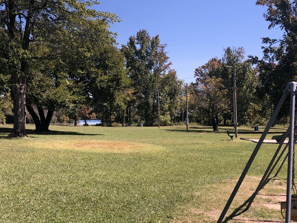 Picture 28