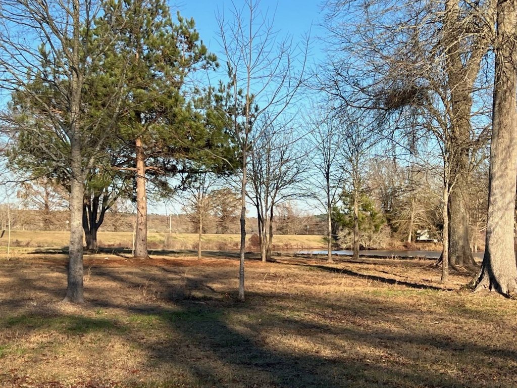 Picture 19