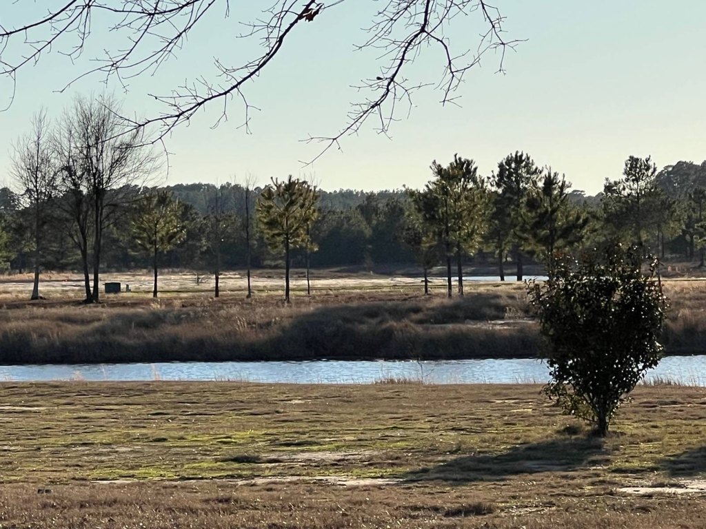 Picture 22