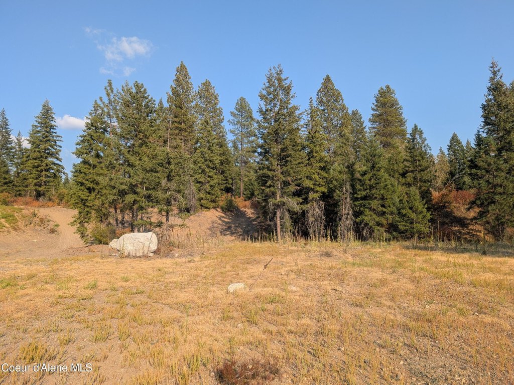 Picture 20