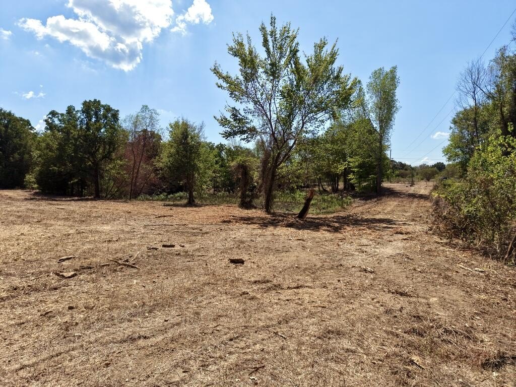 Picture 8