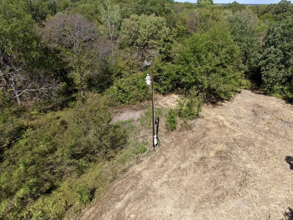 Picture 15