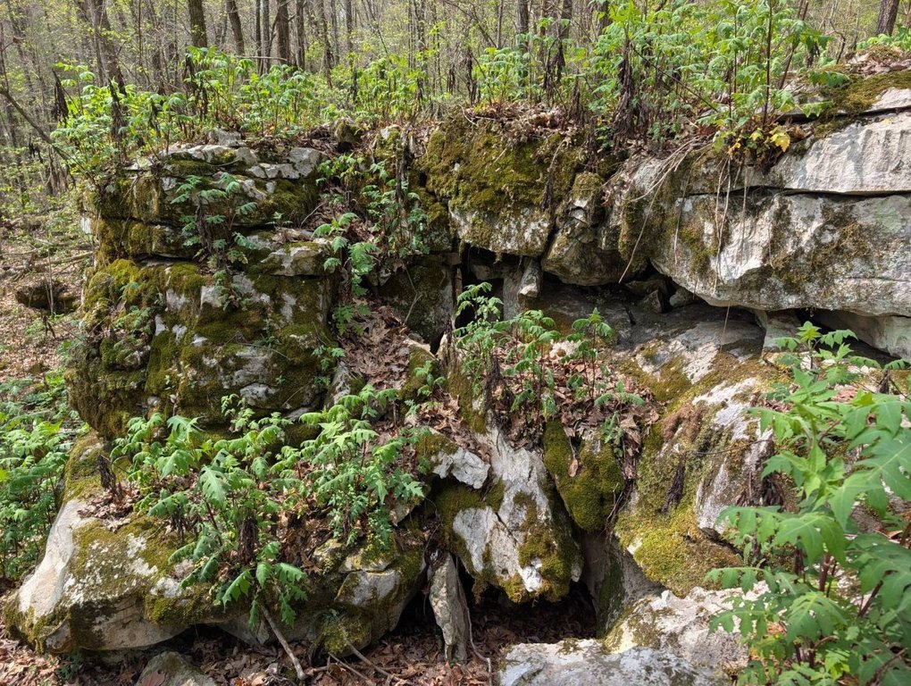 Picture 19