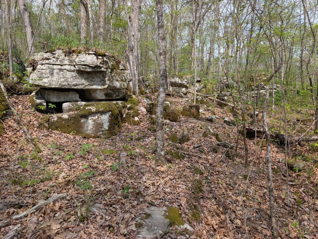 Picture 18