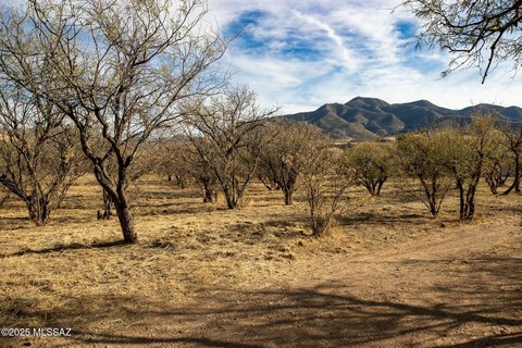 Spacious Lot in Patagonia, AZ