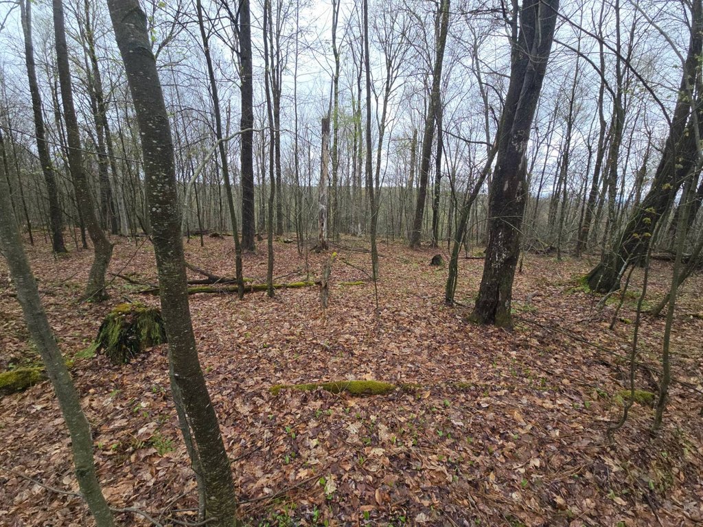 Picture 17
