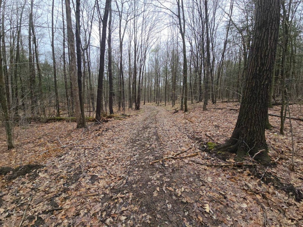 Picture 19